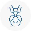 Ant Removals In Totnes