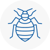 Bed Bug Extermination In Totnes