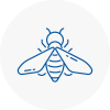 Bee Nest Removal Totnes