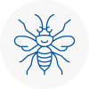 Totnes Hornet Nest Removals