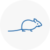 Mice Exterminators In Totnes