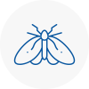 Moth Control Specialists In Totnes