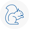 Totnes Rodent Removals